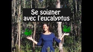 Comment se soigner grâce à leucalyptus [upl. by Ibed]