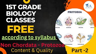 What Are The Classification Of Protozoa Mastigophora ClassFlagellata ampsarcodina Rhizopodaclass [upl. by Wiburg]