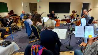 Wessex Folk Orchestra play quotIron Legsquot [upl. by Tremayne]