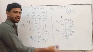 Minor and Cofactors of any Matrix  UrduHindi [upl. by Vijnas]