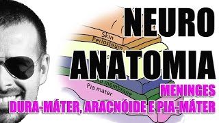 Meninges Duramáter aracnóide e piamáter  Sistema NervosoNeuroanatomia  Vídeo Aula 077 [upl. by Herschel]