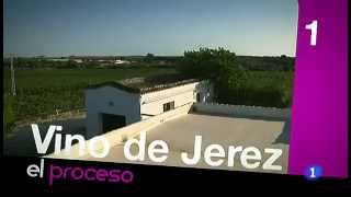 La elaboracion del vino de Jerez [upl. by Cherish799]