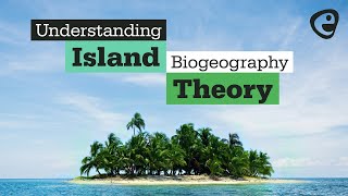 What is Island Biogeography Theory [upl. by Winifred674]