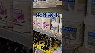 VERSELELAGA ALL PIGEON SUPPLEMENTS AVAILABLE pigeon kabootarbazi PIGEONSUPPLEMENTS [upl. by Rainer]