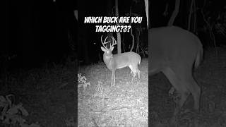 Which buck are you tagging deer deerhunting whitetailbucks bucks music shorts bowhunting [upl. by Percival]