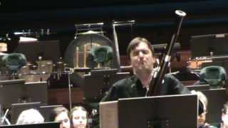 RStrauss Duet Concertino Bassoon soloRoman Reznik [upl. by Ramiah]