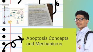 Apoptosis Part 2 Pathological Causes of Apoptosis Mechanisms of Apoptosis [upl. by Zul]