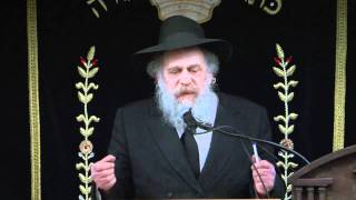 KINUS HASHLUCHIM  RABBI SCHOCHET [upl. by Laws]