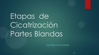 Etapas de la Cicatrizacion de partes blandas [upl. by Jocelyne352]