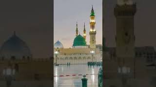 Jo tal deta hy status islamicvideo beautiful [upl. by Aicilyhp]