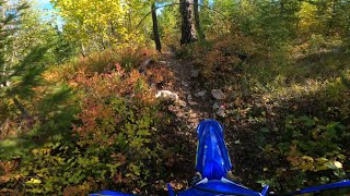 Fall Singletrack at Bardolph Lake  YZ250X Ep76 [upl. by O'Kelly]