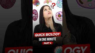 Golgi Apparatus  Quick biology🧬 in One Minute⌛ Part 4 ytshorts biology magnetbrains [upl. by Durkee]