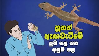 හූනන් ඇඟවැටීමේ සුබ අසුබ  Hunan Aga Watime Palapala [upl. by Amelie]