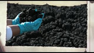 SA Water Biosolids Animated Corporate Explainer [upl. by Ag]