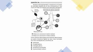 Questão 104 ENEM 2022 Prova Cinza quotNa figura está representado o mosaicismo em função da inaquot [upl. by Ainsworth970]
