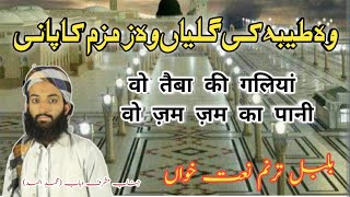 wo taiba Ki Galyaan Wo Zamzam Ka Paani । Wo Taiba Ki Galiyan Wo Zam Zam Ka Pani  وہ طیبہ کی گلیاں [upl. by Semajwerdna]