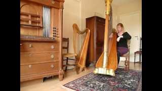 harpist Regina Ederveen plays New Blues by Deborah HensonConant on pedal harpMOV [upl. by Elle]