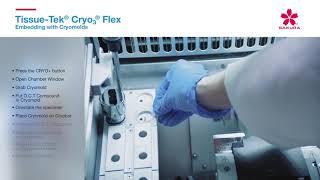 Tissue Tek Cryo3 Flex Embedding with Cryomolds [upl. by Pernas]