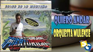 Quiero Andar ♪ Orquesta Mulenze [upl. by Henn]