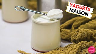 Recette de yaourts maison à la vanille  bien fermes et délicieux [upl. by Nilyad462]