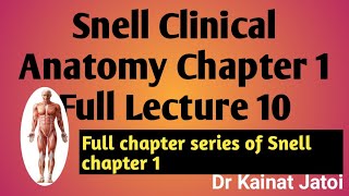 Snell Clinical Anatomy Chapter 1 Lecture 10 [upl. by Parris208]