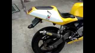 CAGIVA MITO [upl. by Fridell]