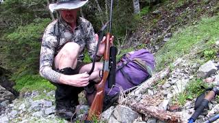 Chamois hunting  Blaser K95 Kipplauf [upl. by Wat89]