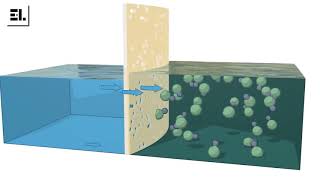 Como funciona la Osmosis Inversa RO [upl. by Tracay]