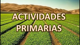 Actividades Primarias  Geografía QUINTO GRADO [upl. by Sew503]