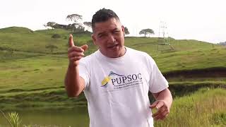 cancion gustavo petro presidente [upl. by Higley939]