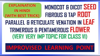 MONOCOT amp DICOT PLANTS  TRICK  CBSE NCERT SCIENCE CLASS 6 CHAPTER 7 [upl. by Ahsyek181]