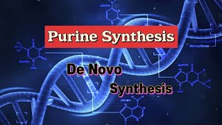 Purine Synthesis  De Novo Synthesis nucleotides dna purines [upl. by Hooper]