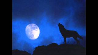 Wolf howling at night sound effect [upl. by Stine]