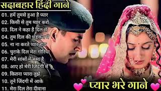 Hindi Gana🌹Sadabahar Song 💖 हिंदी गाने 💔 Purane Gane mp3💕 Filmi Gane अल्का याग्निक कुमार सानू गीत [upl. by Aiden]