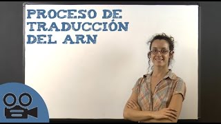 Proceso de traducción del ARN [upl. by Edva]