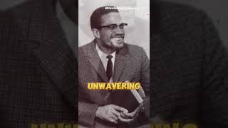 The Truth About Malcolm X Assassination Documentary [upl. by Hedveh121]