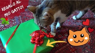 IL MIO GATTO APRE IL SUO REGALO DI NATALE è impazzito [upl. by Ettennad672]