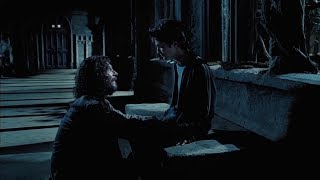 harry potter and sirius black being precious [upl. by Vanzant]