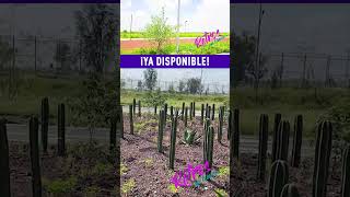 No te pierdas la visita al Parque Ecológico Lago de Texcoco [upl. by Einad]