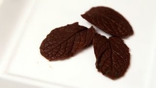 How to Make Chocolate Leaves  Candy Making [upl. by Norra]