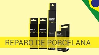 Técnica para Reparo de Porcelana  Dentística e Prótese [upl. by Anelegna]