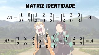 Matriz identidade [upl. by Wooster803]