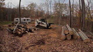 🔴⚫️ Part 1What can you do with a Halverson Grapple Saw on a Bobcat SkidSteer⚫️🔴Lets FIND out👊🏻➡️ [upl. by Herahab]