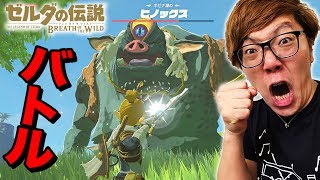 【ゼルダの伝説】ヒノックスampスタルヒノックスに挑む！ ヒカキンのゼルダの伝説ブレスオブザワイルド実況 Part14 [upl. by Nylhtac]