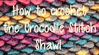 How to Crochet the Crocodile Stitch Shawl [upl. by Glaab]