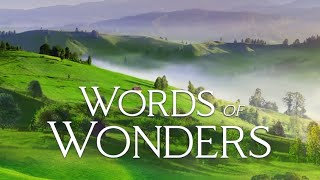 WORDS OF WONDERS  WOW   126  127  128  129  BÖLÜMLERİN ÇÖZÜMLERİ [upl. by Linnet]