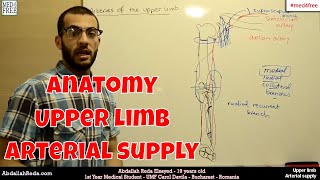 arterial supply upper limb  عبد الله رضا MD  Rocademia روكاديميا [upl. by Yuji277]