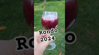 Domowe wino Rondo 2024 domowewino wino [upl. by Orestes]