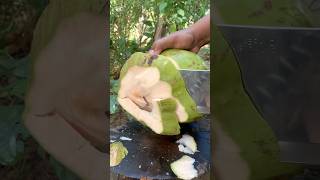 Redorange color coconut cutting shorts satisfying food fruit [upl. by Pauiie]