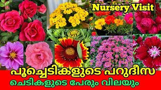 Amazing Flowering plant 🔥Nursery Plant price with Names  Cheapest plant Nursery in India Salu [upl. by Eastlake324]